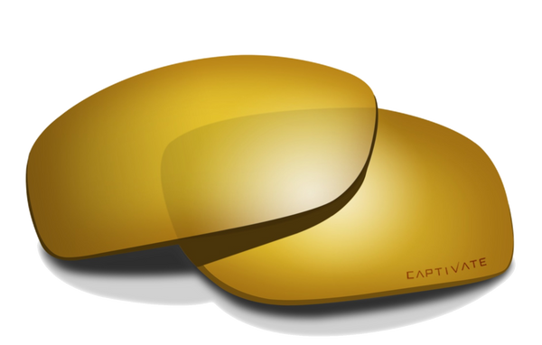 [Captivate Bronze Polarized]