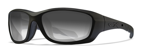 [Matte Black/Photochromic Smoke Grey]