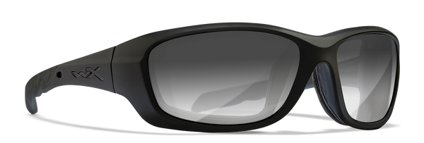 [Matte Black/Photochromic Smoke Grey]