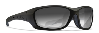 [Matte Black/Photochromic Smoke Grey]