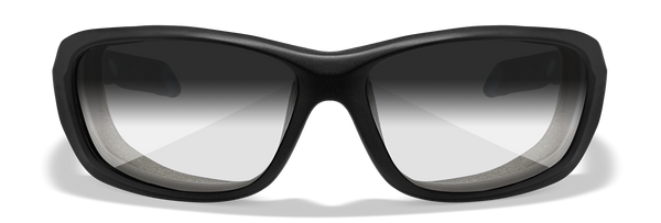 [Matte Black/Photochromic Smoke Grey]