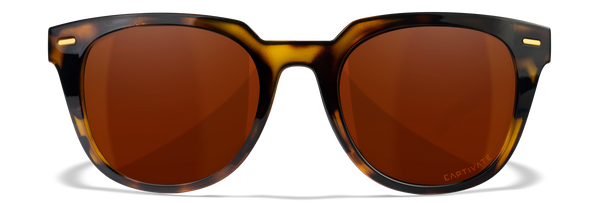 [Gloss Demi/CAPTIVATE™ Polarized Copper]